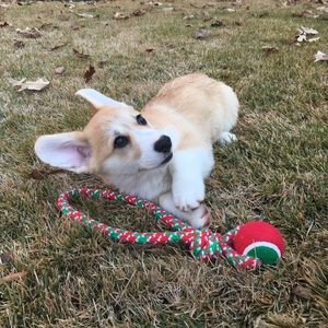 Meet your Posher, Lexi